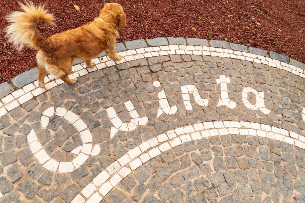 Quinta Do Paraizo リベイラ・グランデ エクステリア 写真